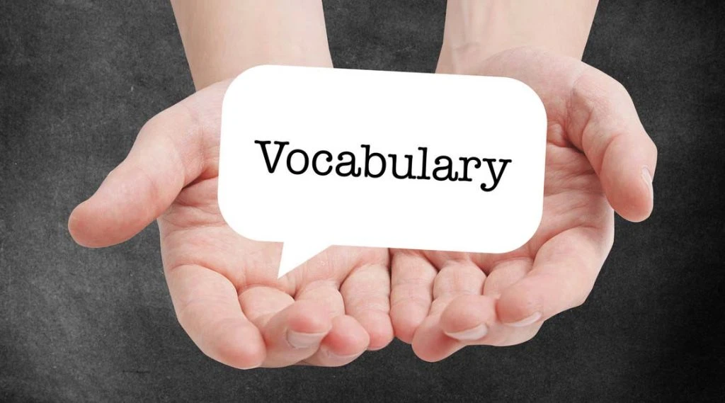 TAC auto accident vocabulary guide